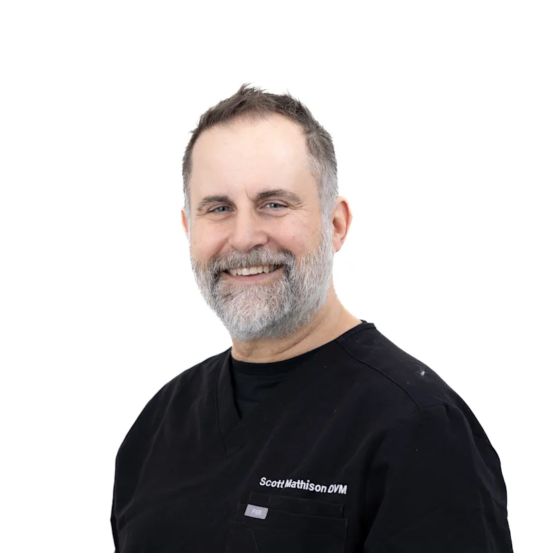 Dr. Scott Mathison Dr. Scott Mathison