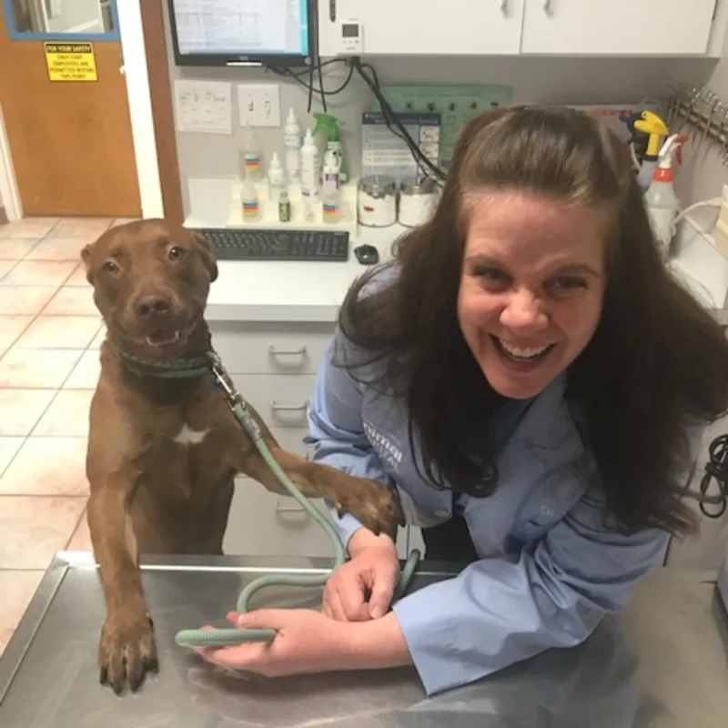 Dr. Kathleen Heneghan Dr. Kathleen Heneghan