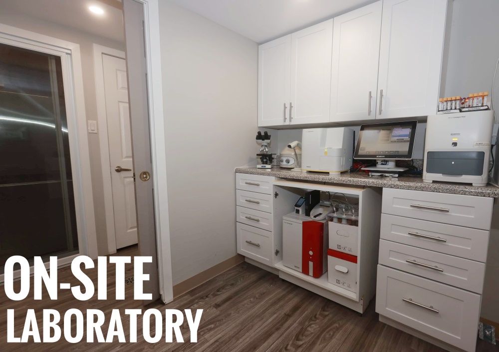 On site laboratory 