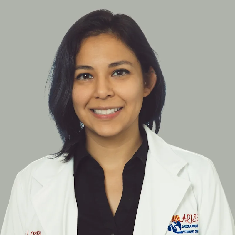 Dr. Becky Lozada Dr. Becky Lozada