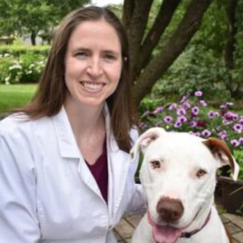Dr. Megan Garvey at Hanover Park Animal Care Center Dr. Megan Garvey at Hanover Park Animal Care Center