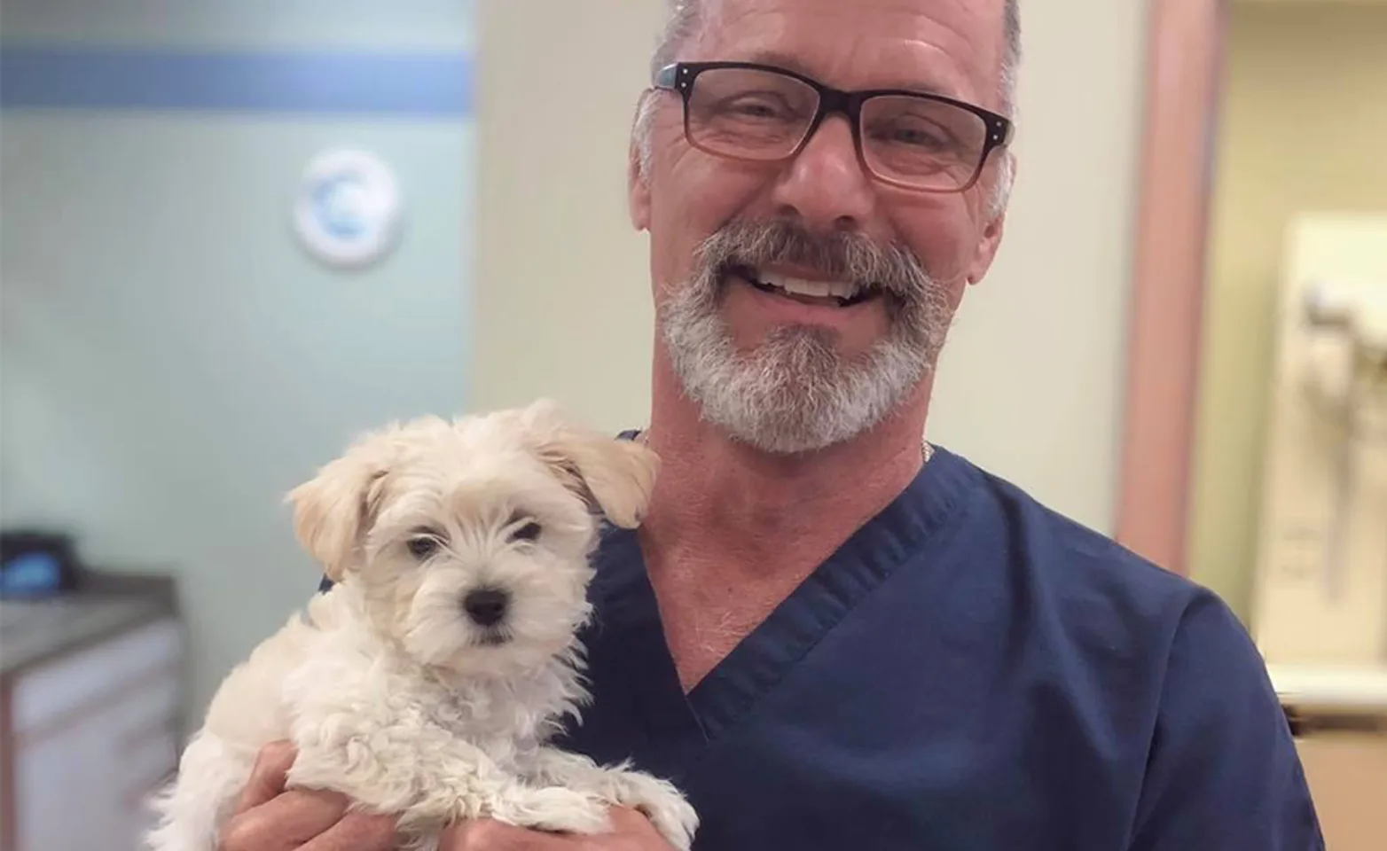 A veterinarian holding a small puppy A veterinarian holding a small puppy