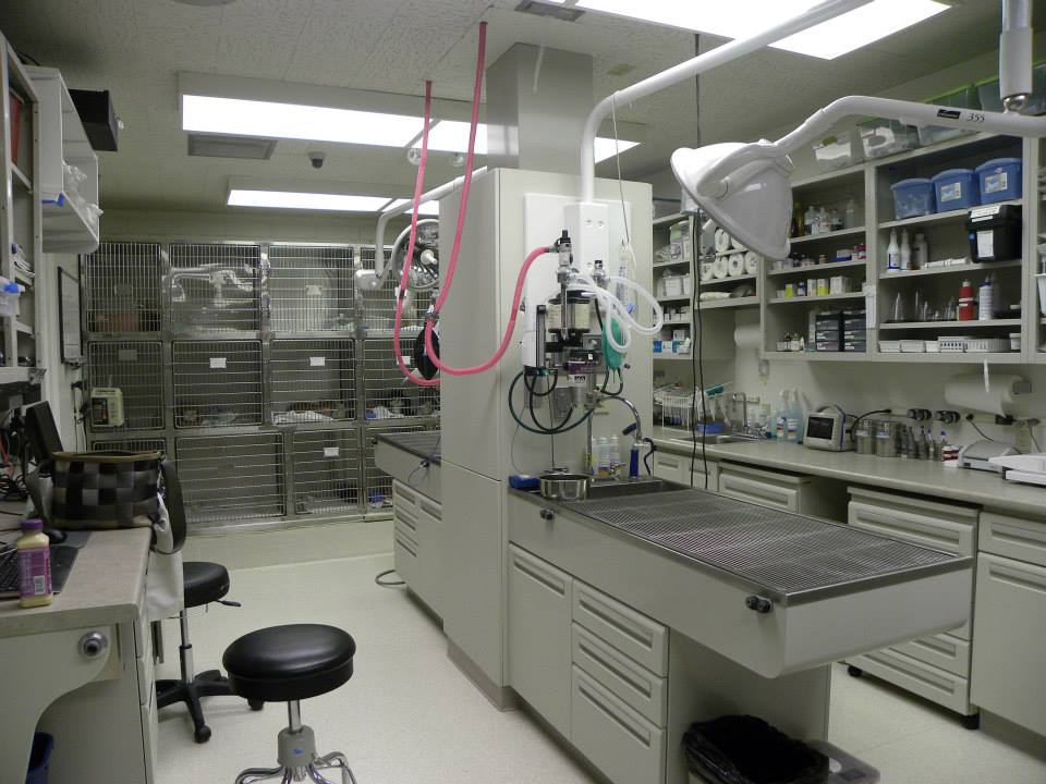 East Lake Animal Clinic's Treatment Room which consists of two medical tables, medical supplies on shelves, chairs, kennel area in the back