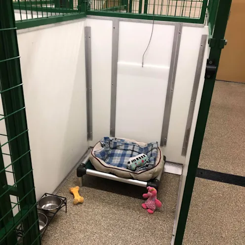 Boarding room green metal front angle Boarding room green metal front angle