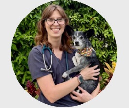 Veterinarian