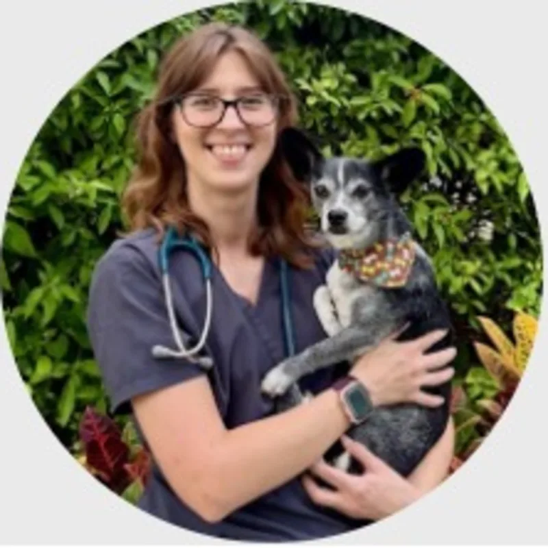 Veterinarian Veterinarian