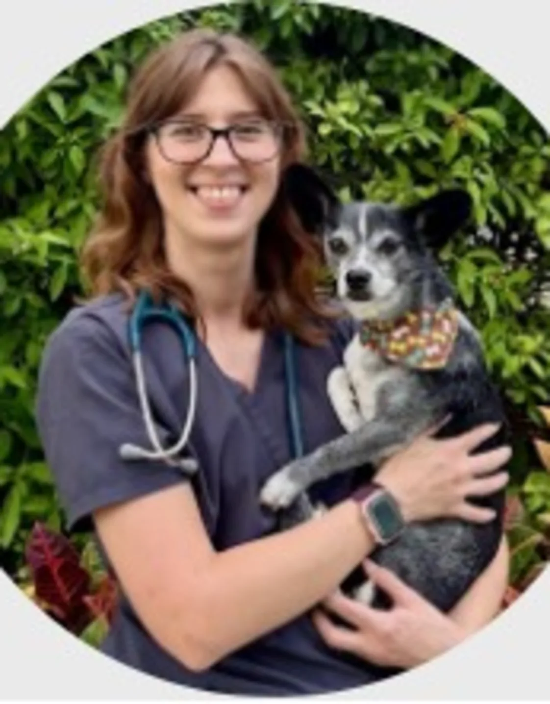 Veterinarian Veterinarian