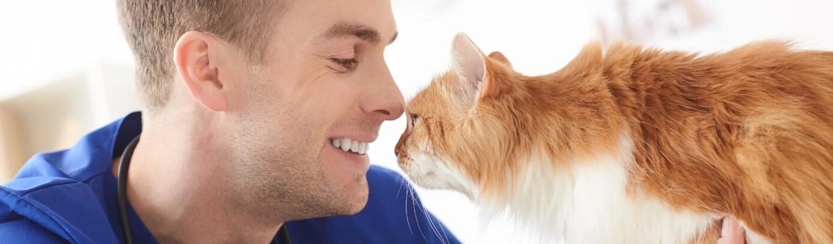 Vet tech face to face with cat Vet tech face to face with cat
