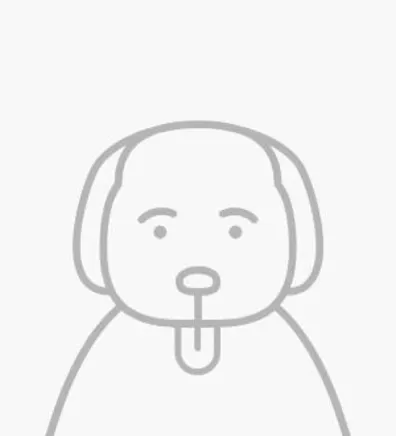 Hannah Horst Hannah Horst