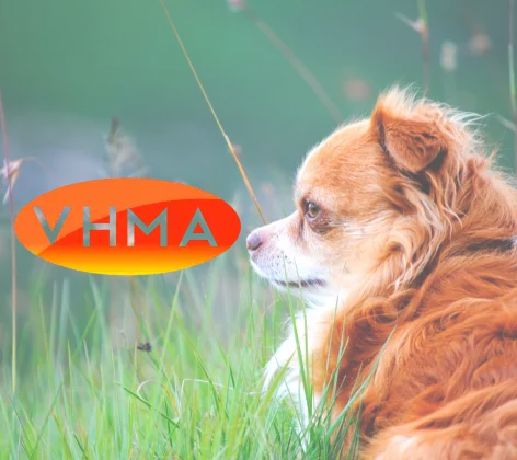 VHMA Logo 