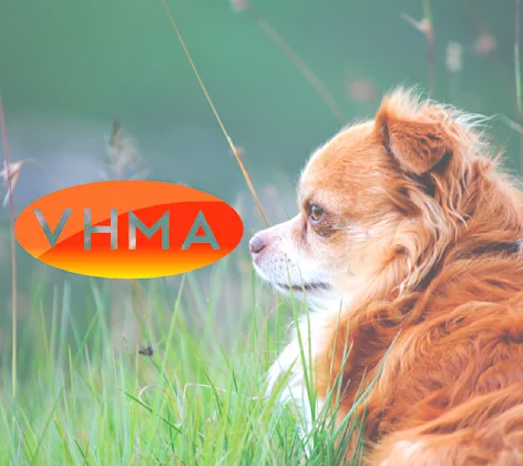 VHMA Logo VHMA Logo
