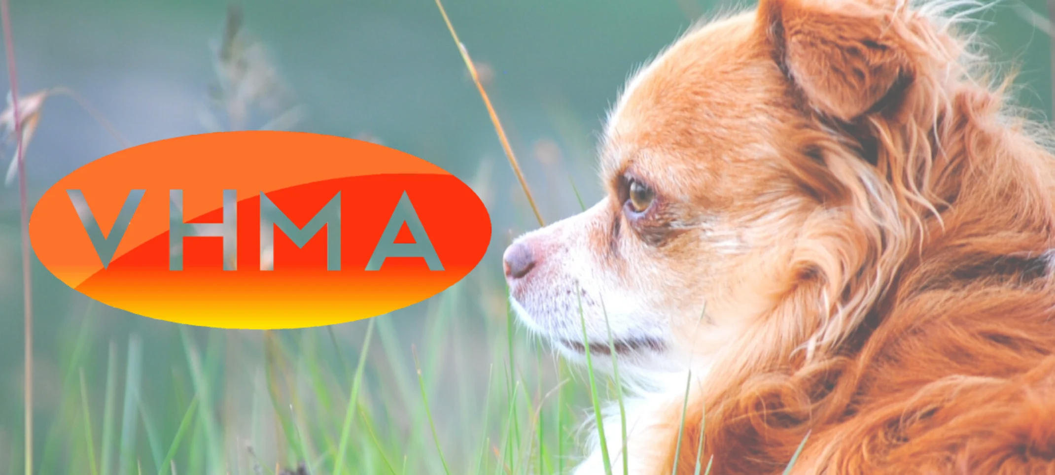 VHMA Logo VHMA Logo