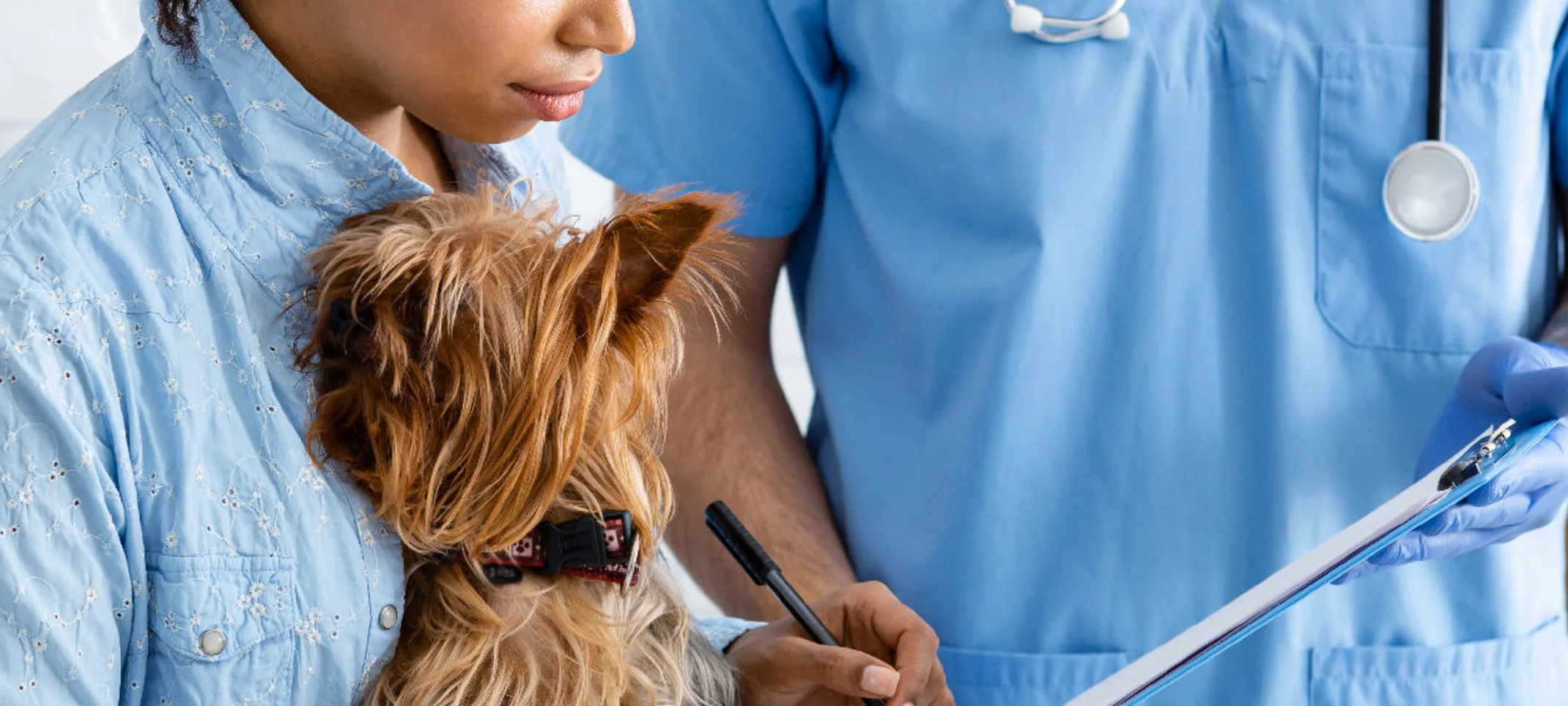 A person bringing their small dog to the vet for care