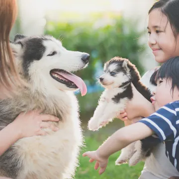 dog and puppy with family