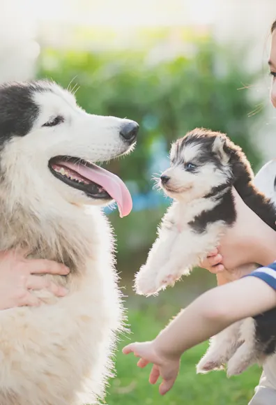 dog and puppy with family