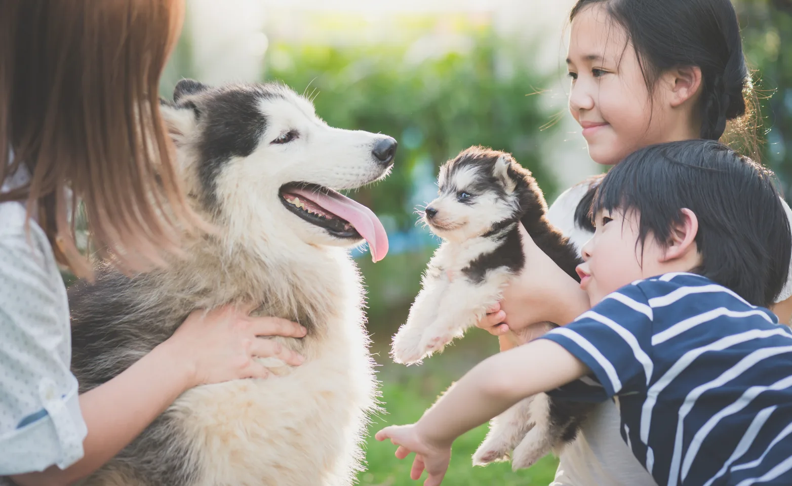 dog and puppy with family