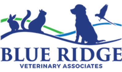Blue Ridge Veterinary Associates 400047a - Logo