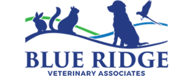 Blue Ridge Veterinary Associates Logo Blue Ridge Veterinary Associates Logo