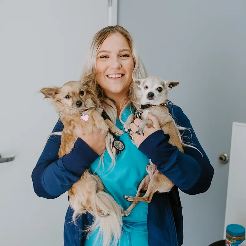 Dr. Holly Meissner Dr. Holly Meissner