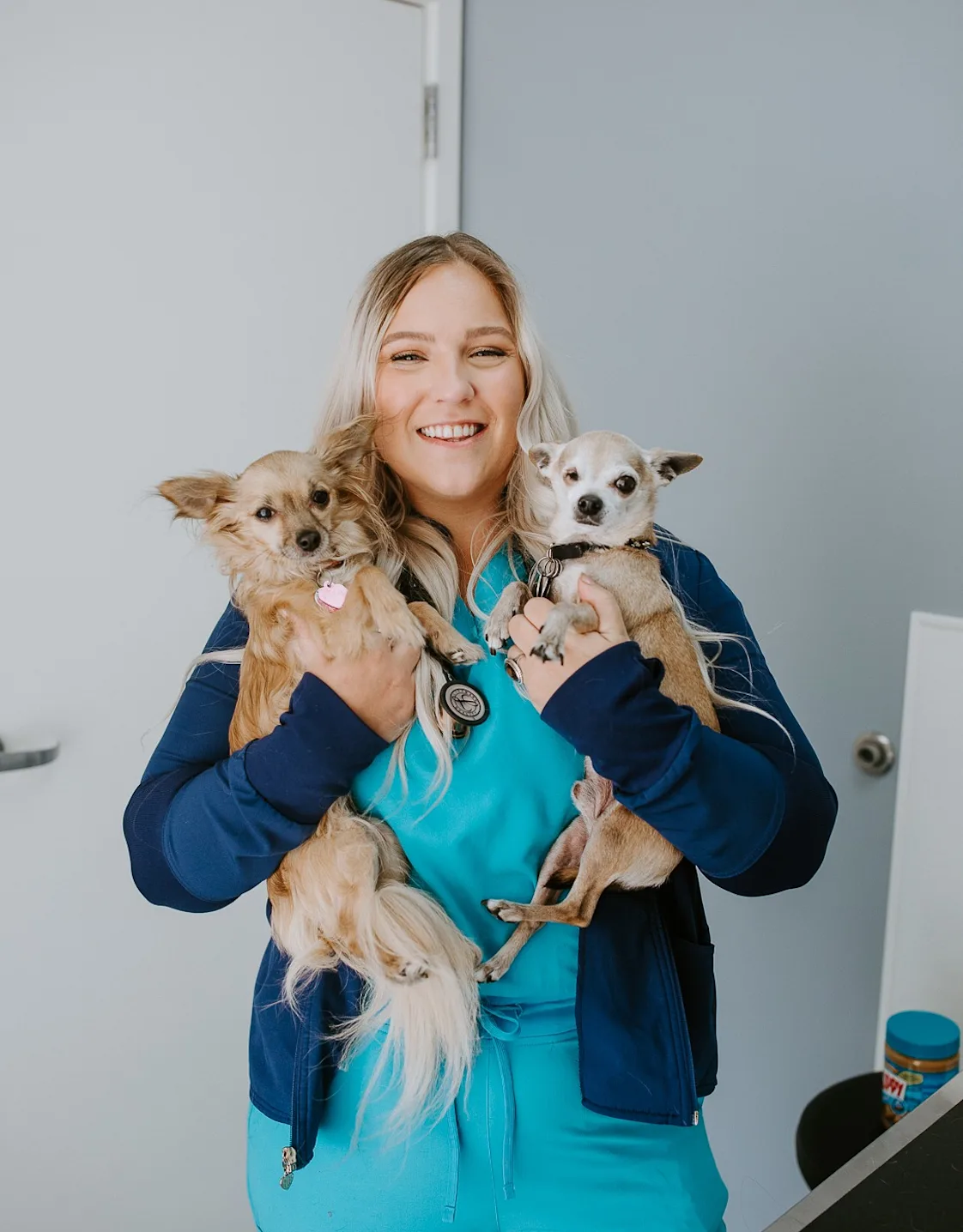Dr. Holly Meissner Dr. Holly Meissner