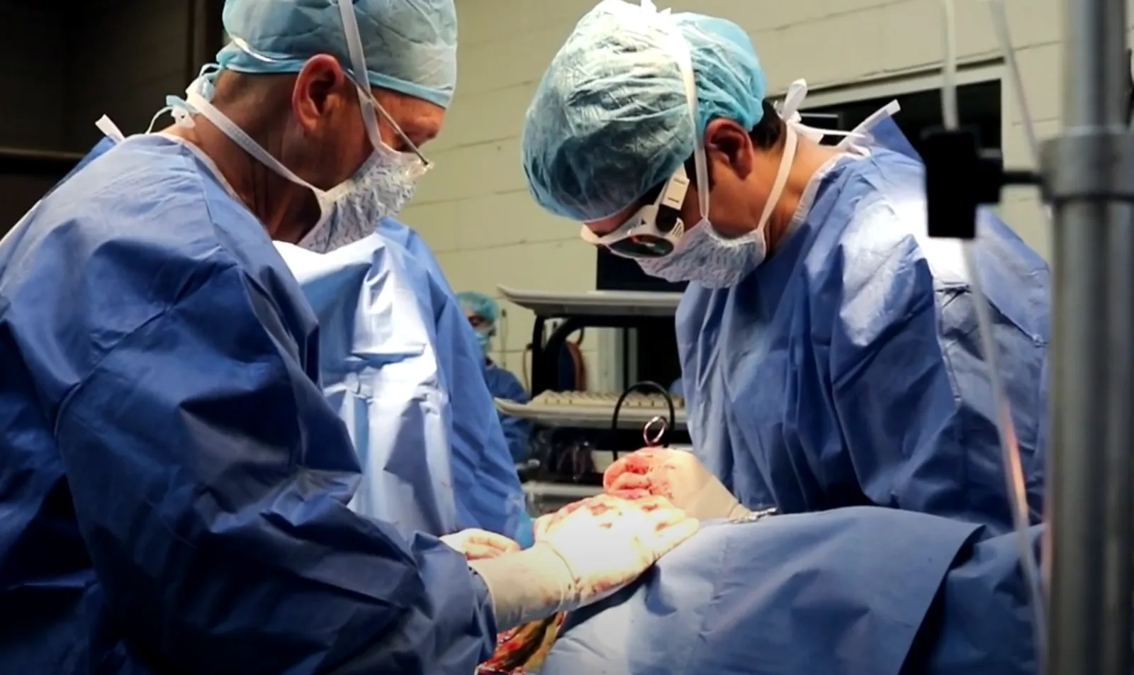 Photo of surgeons performing surgery on a horse at Oakridge Equine Hospital