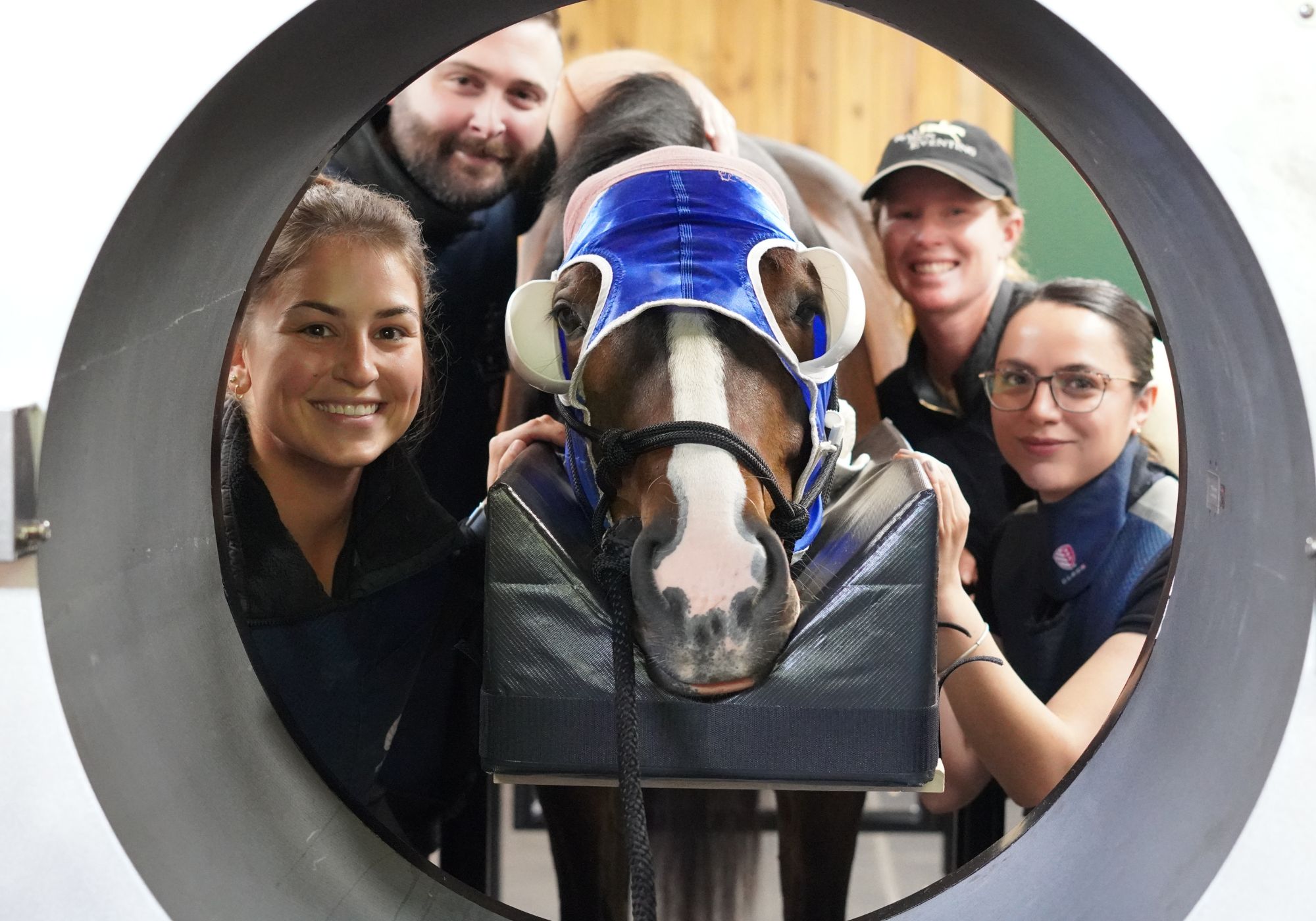 Virginia Equine Team looking through CT