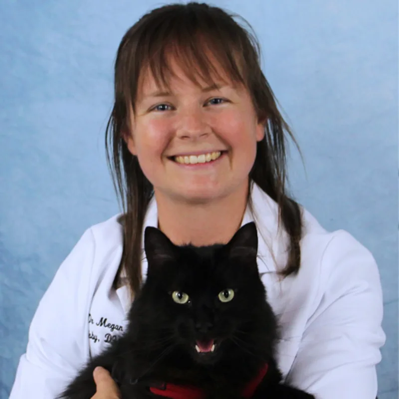 Dr. Gulsby Dr. Gulsby