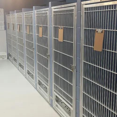 Canine Suites Canine Suites