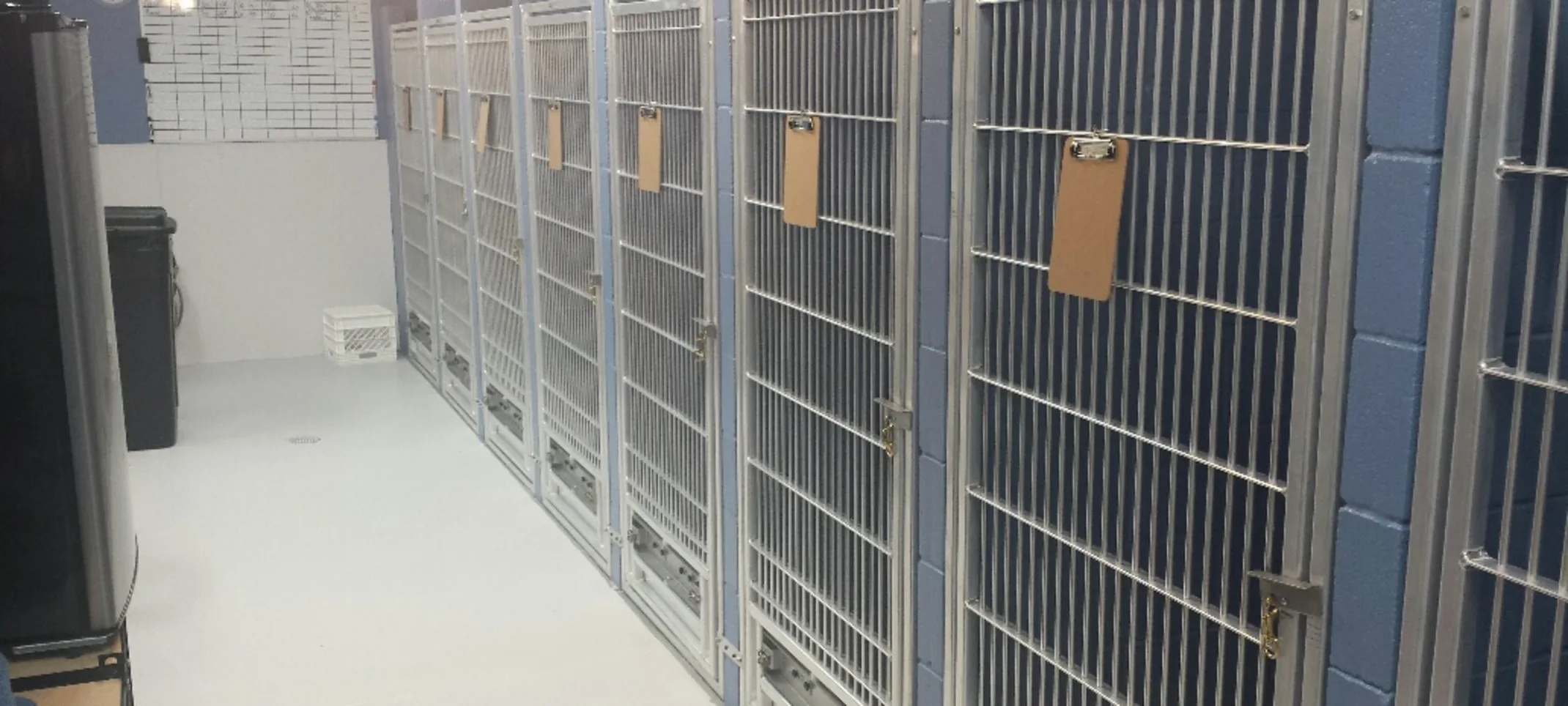 Canine Suites Canine Suites