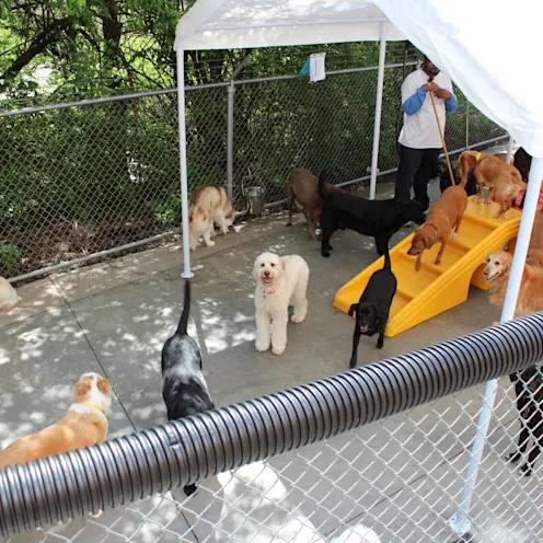 The Pet Spot Outside The Pet Spot Outside