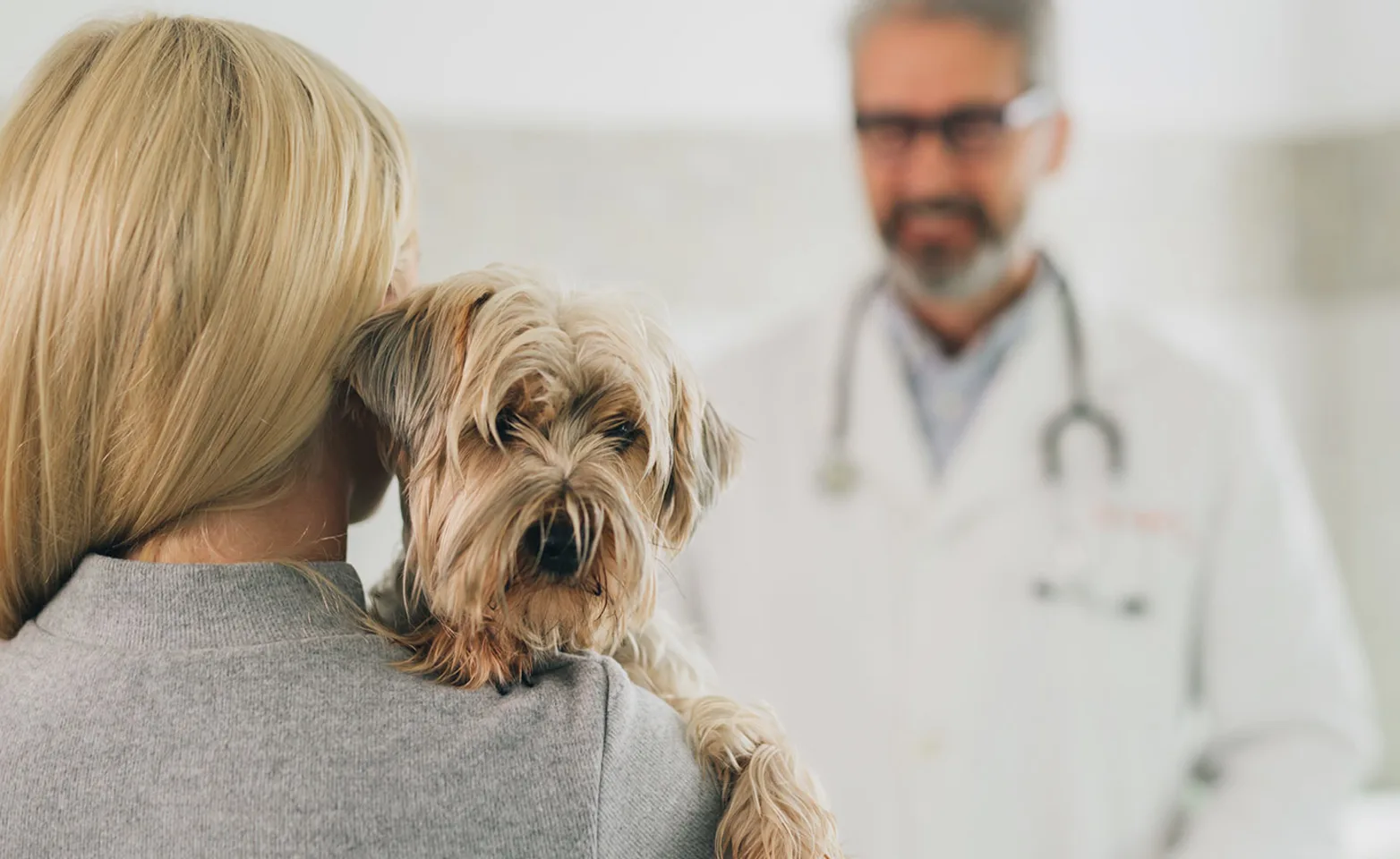 a woman hugging her cat talking to a vet a woman hugging her cat talking to a vet