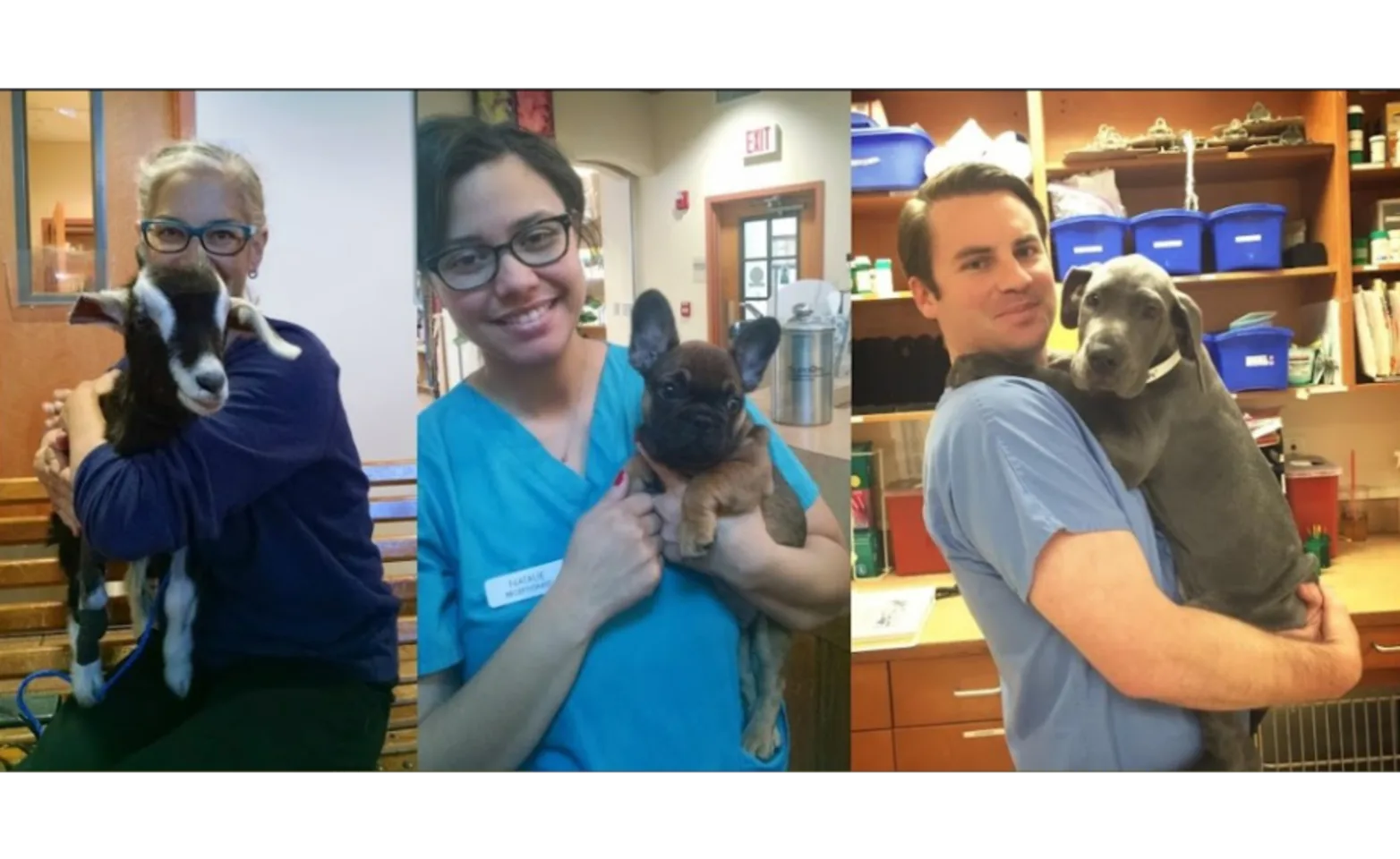 Metairie Small Animal Hospital (MSAH) - Kenner Clinic Staff Members Holding Animals Metairie Small Animal Hospital (MSAH) - Kenner Clinic Staff Members Holding Animals