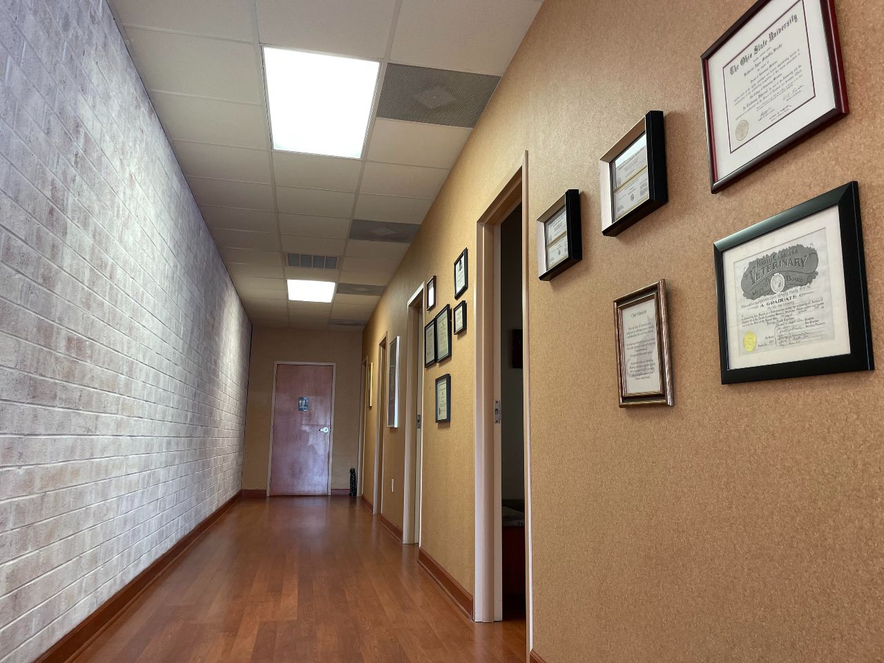 Exam Room Hallway in Cat Clinic of Greensboro