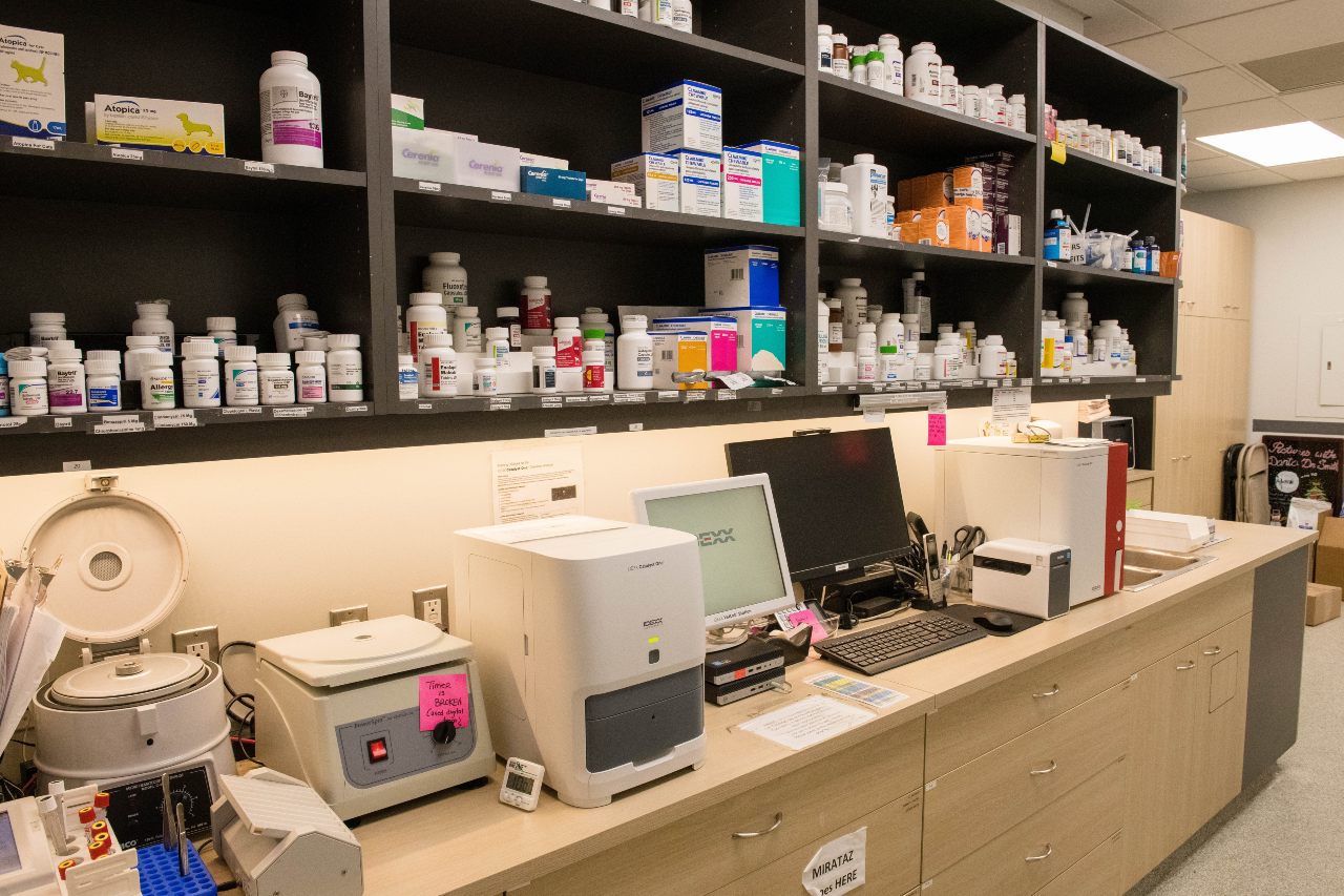 In House Labs in West Village Veterinary Hospital