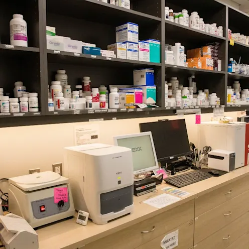 In House Labs in West Village Veterinary Hospital In House Labs in West Village Veterinary Hospital