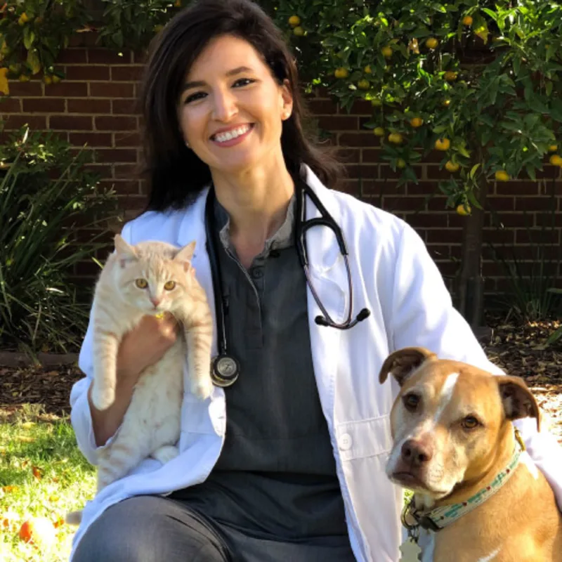 Jenny Edwards DVM, of Abby Pet. Jenny Edwards DVM, of Abby Pet.