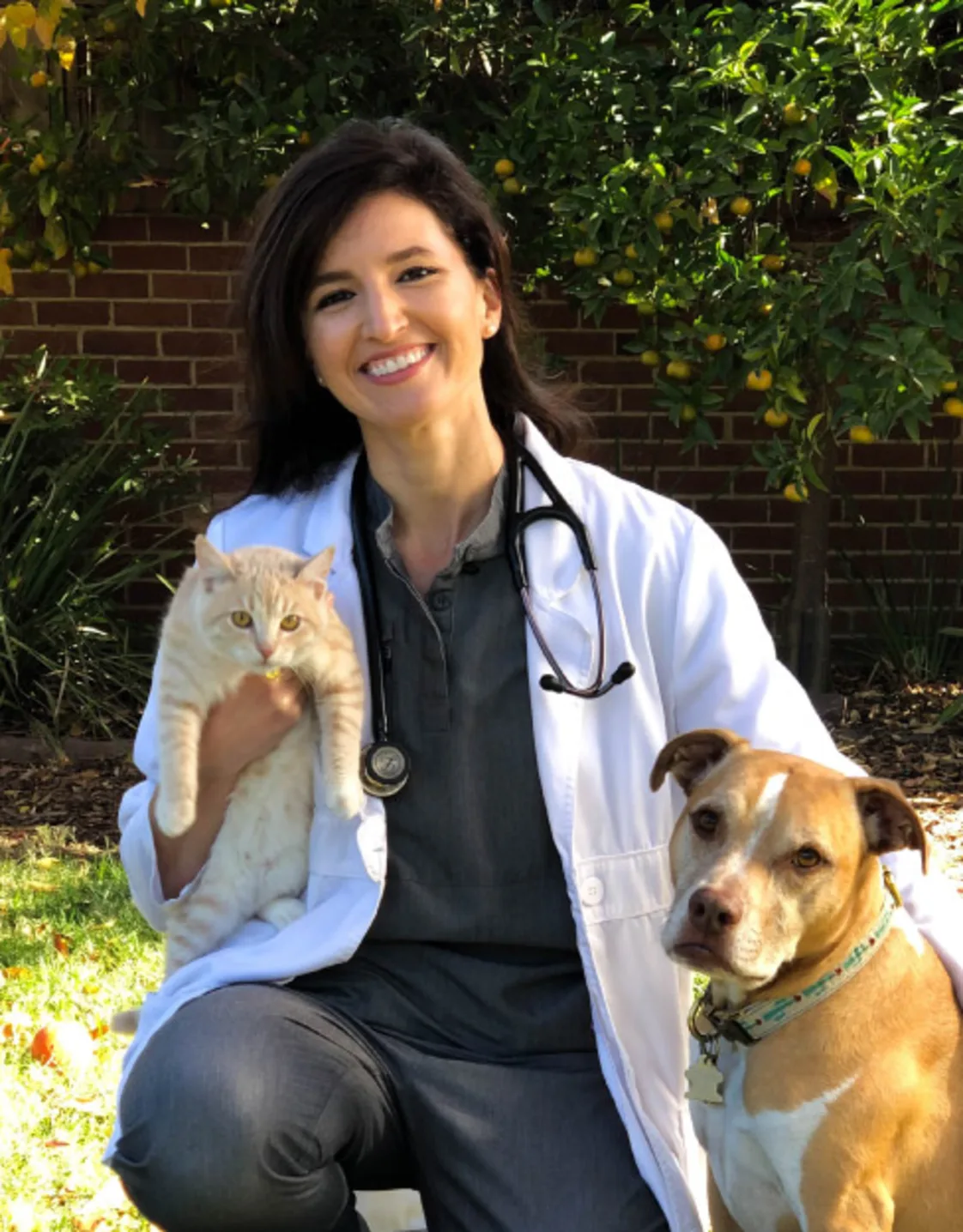 Jenny Edwards DVM, of Abby Pet. Jenny Edwards DVM, of Abby Pet.