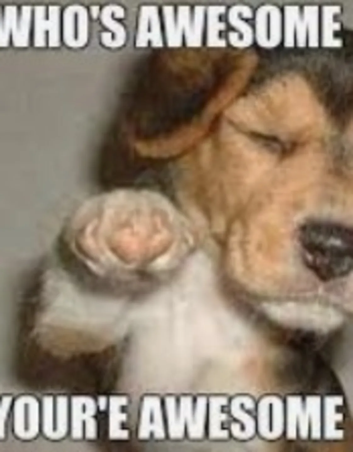 YOU! YOU!