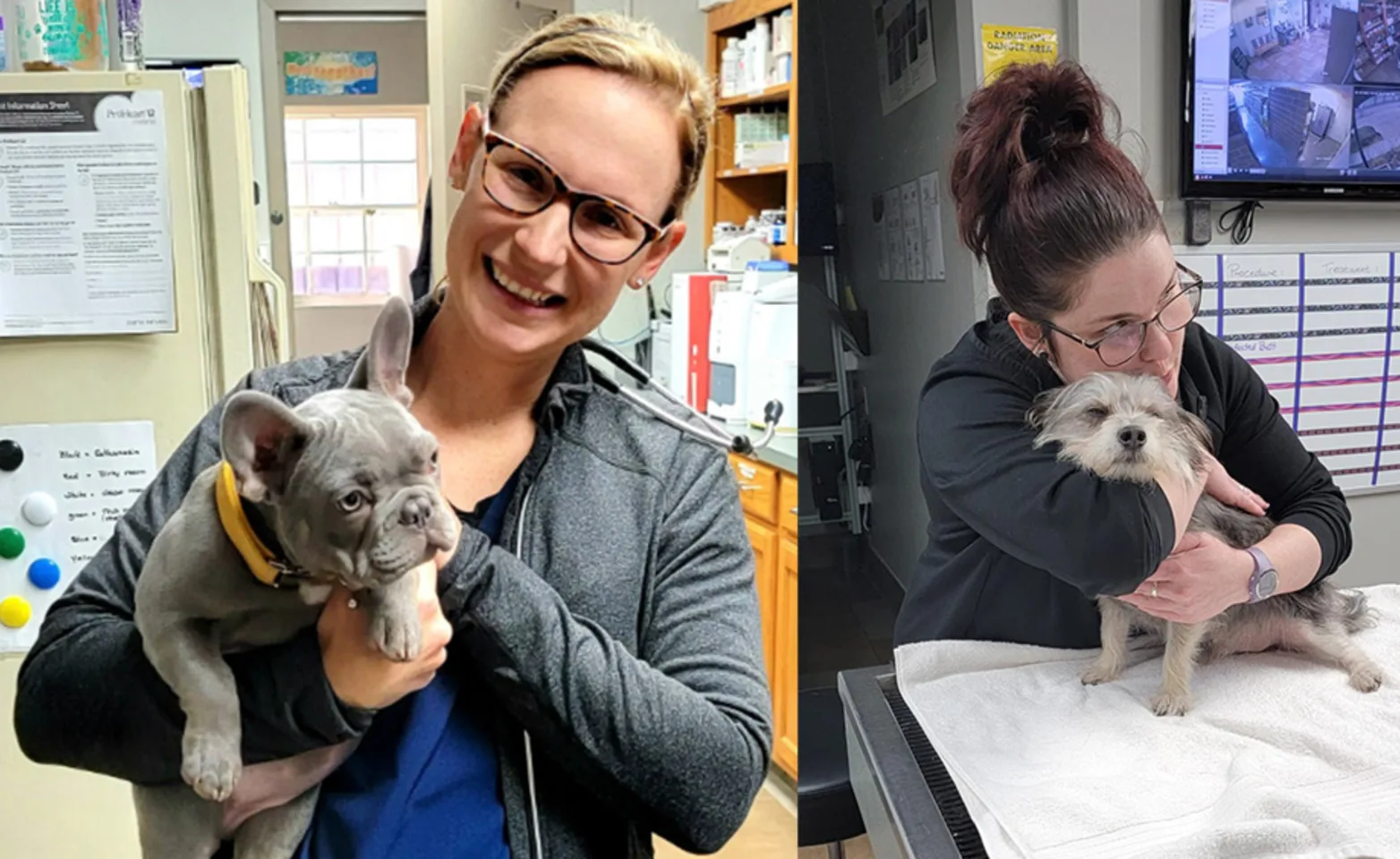 Two Staff Members Holding Dogs at Southern Hills Veterinary Hospital