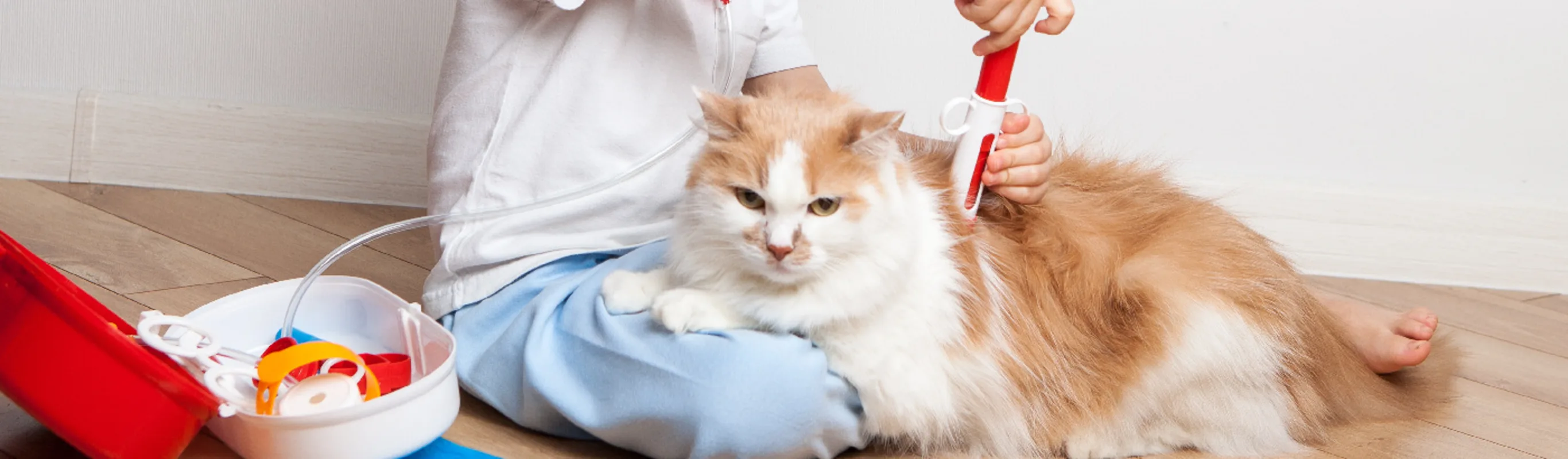 A child pretending to give a cat a check-up with a fake syringe A child pretending to give a cat a check-up with a fake syringe