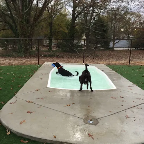 Tiny Pool Tiny Pool