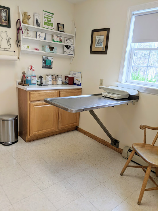 Examination room and exam table at Henniker Veterinary Hospital