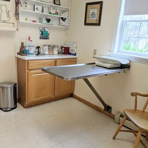 Examination room and exam table at Henniker Veterinary Hospital Examination room and exam table at Henniker Veterinary Hospital