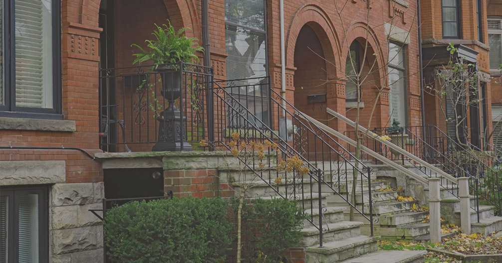 Wrigglyville Veterinary