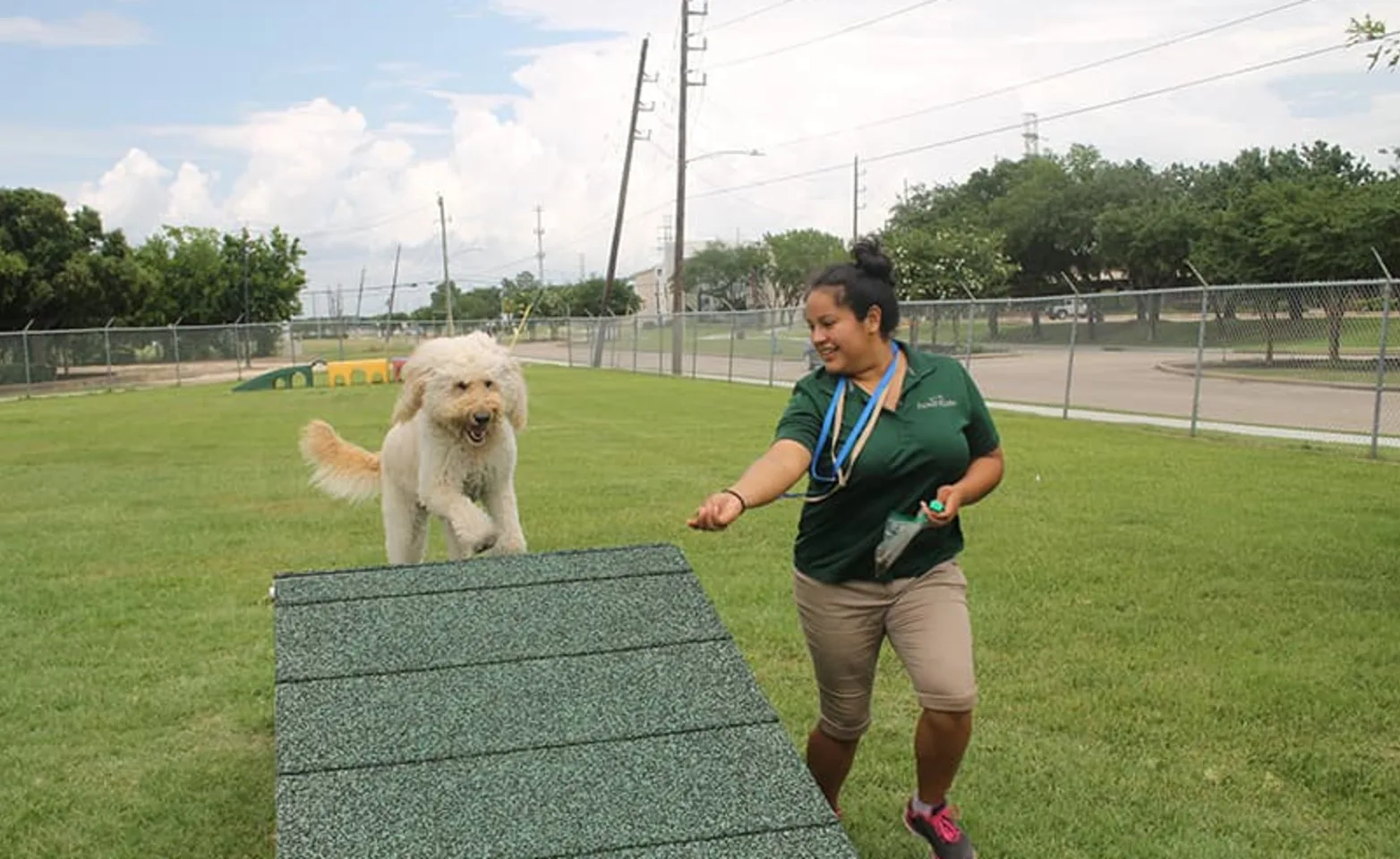 Staff Training With Dog