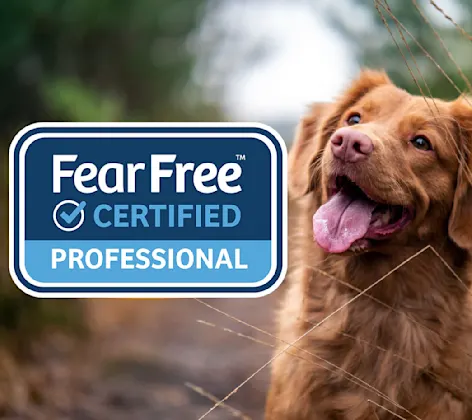 Fear free logo with dog Fear free logo with dog
