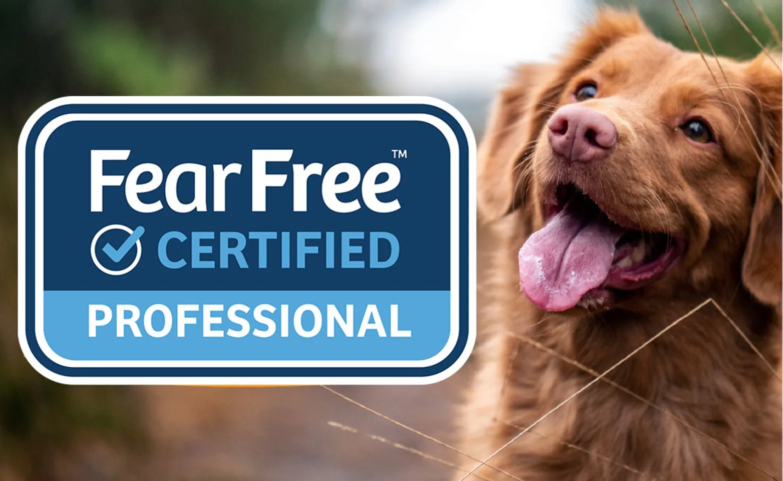 Fear free logo with dog Fear free logo with dog
