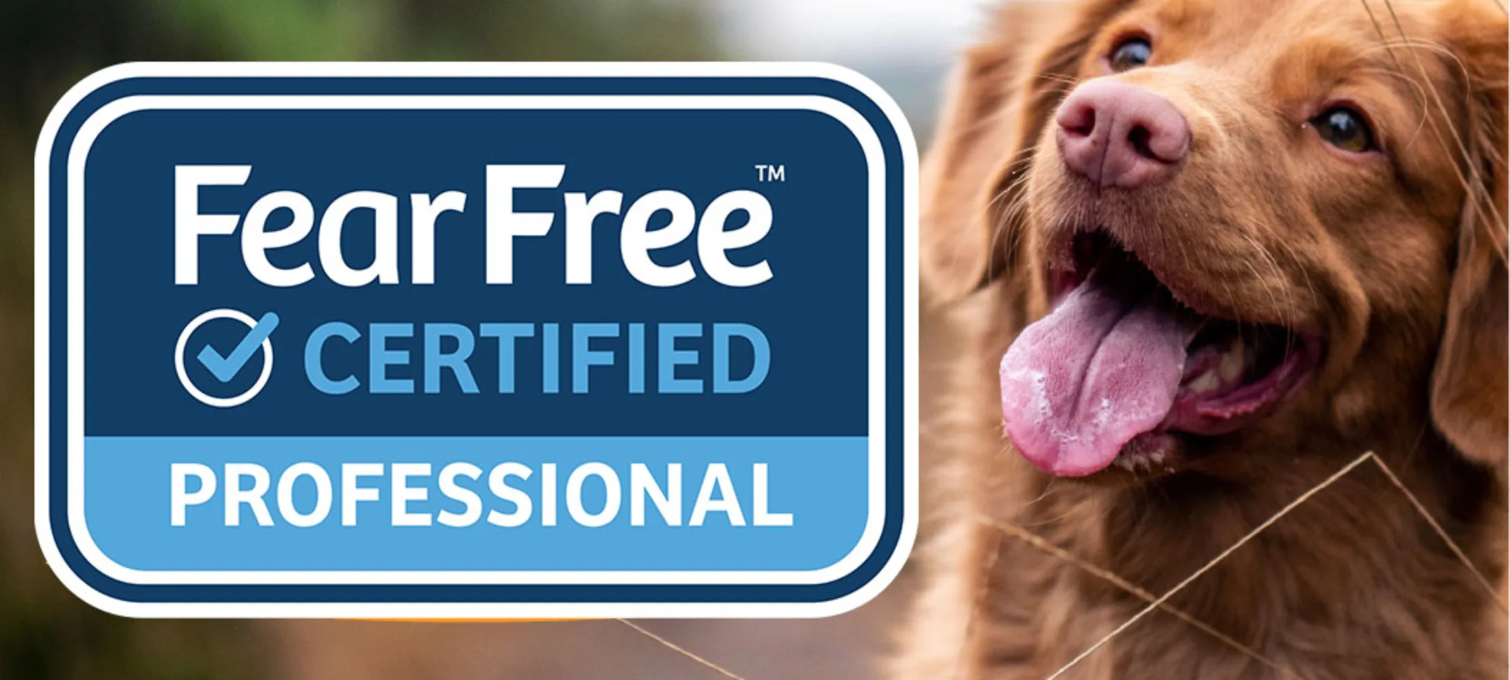 Fear free logo with dog Fear free logo with dog