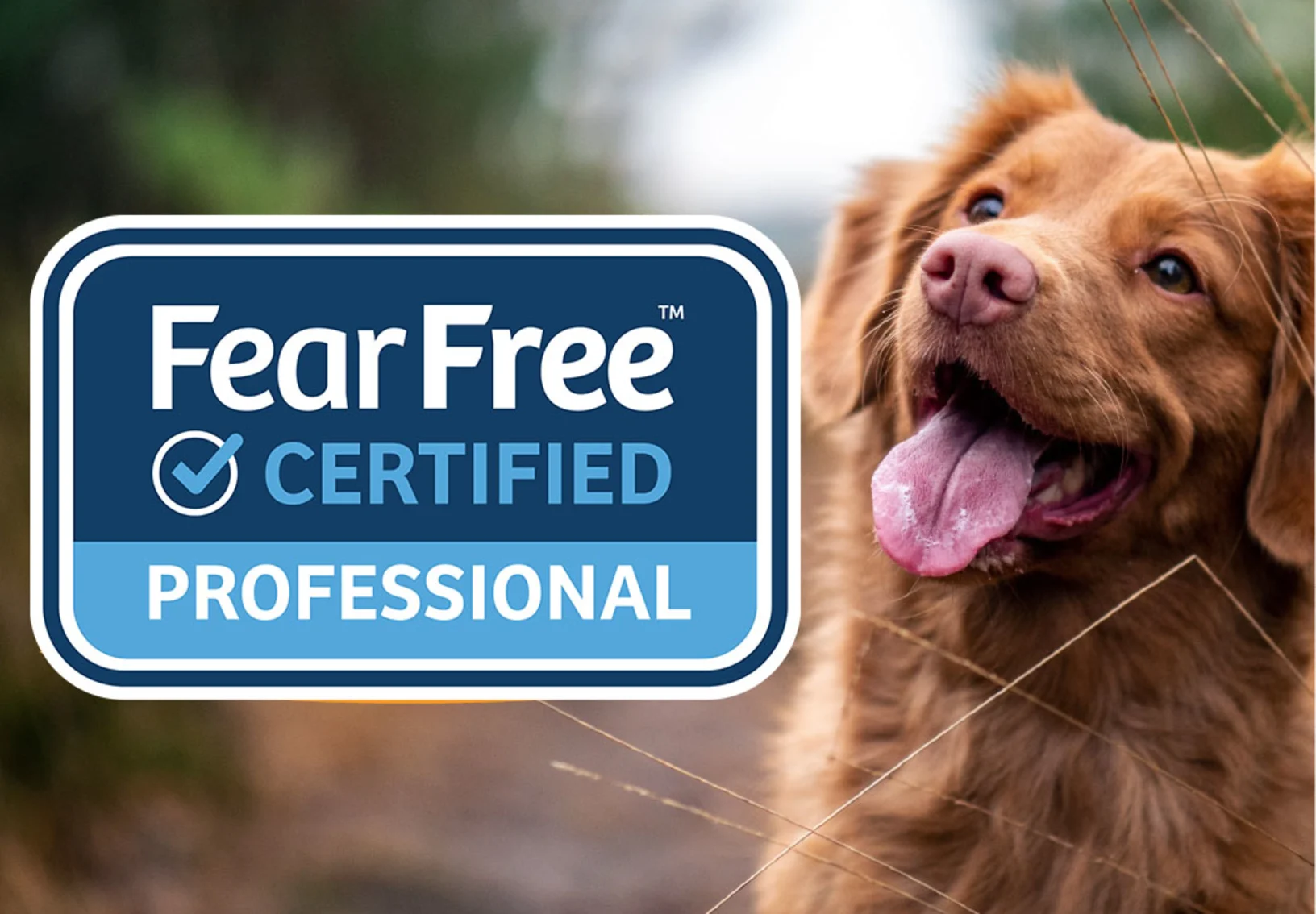 Fear free logo with dog Fear free logo with dog