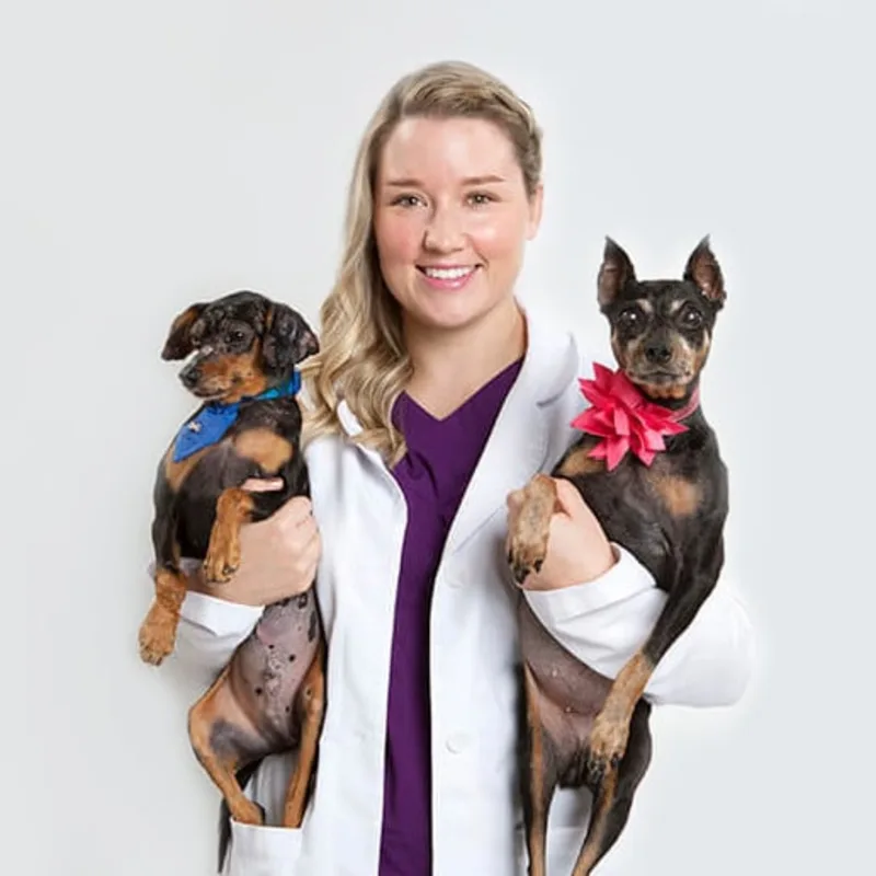 Kathryn McCutcheon holding two black and brown dogs, with the one one her left wearing a blue bandana and the one on the right wearing a pink flower on its neck. Kathryn McCutcheon holding two black and brown dogs, with the one one her left wearing a blue bandana and the one on the right wearing a pink flower on its neck.
